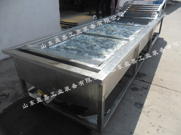連續(xù)式蘑菇鼓泡清洗機(jī)，支持加工定制
